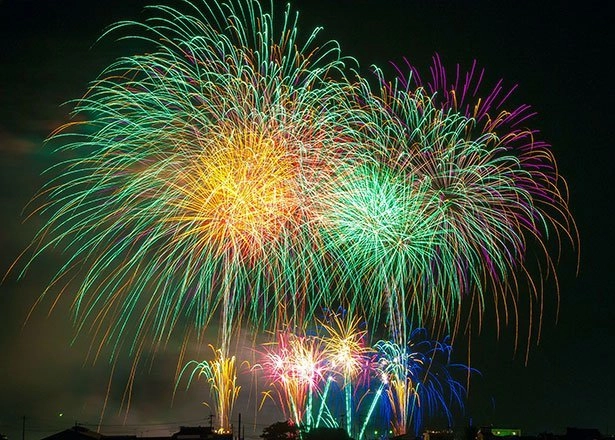 web bild 5